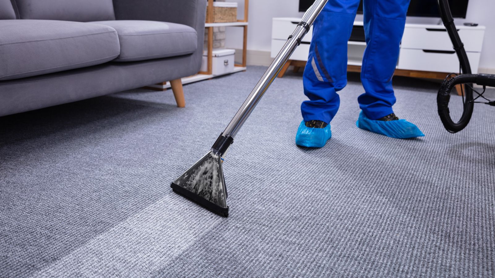 Limpeza e higienização de tapetes e carpetes